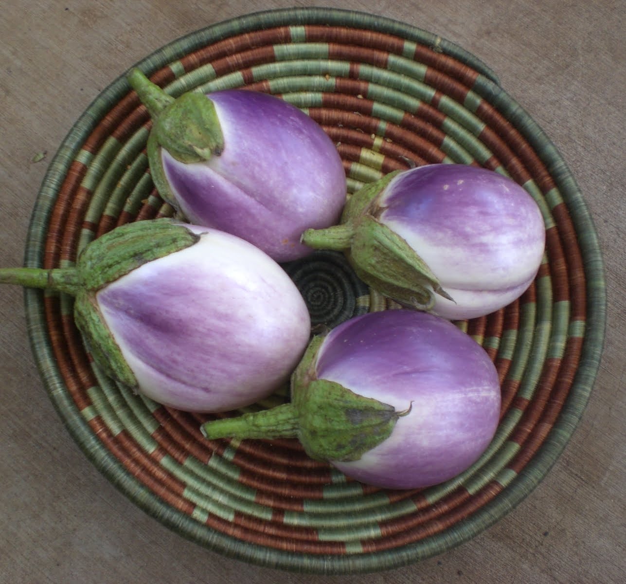 Organic Eggplant Rosa Bianca - Metchosin Farm Seeds