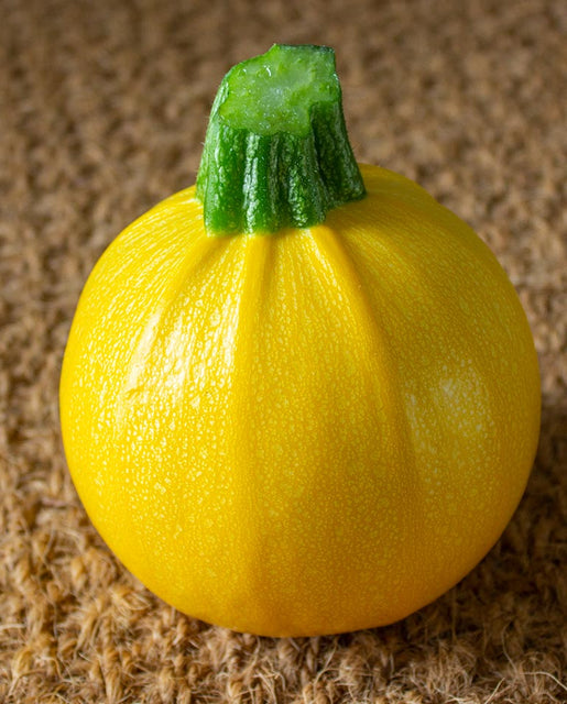 Zucchini One Ball - West Coast Seeds