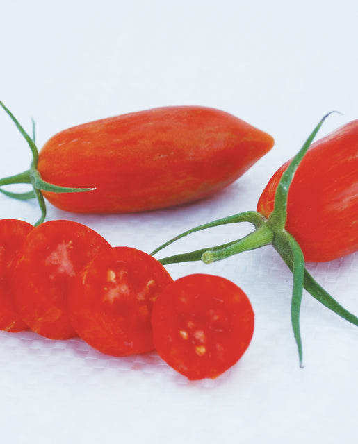 Organic Tomato Prairie Fire - West Coast Seeds