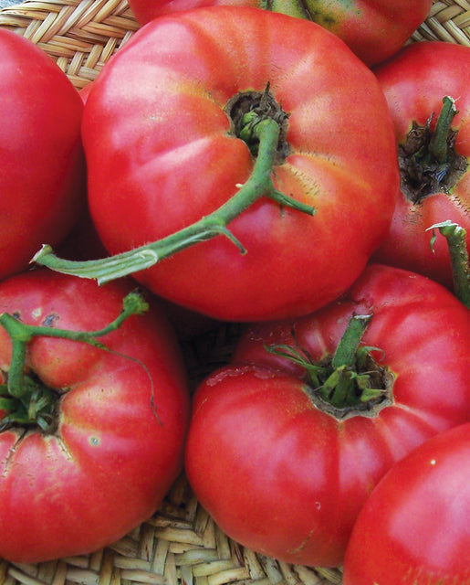 Organic Tomato Mortgage Lifter - West Coast Seeds