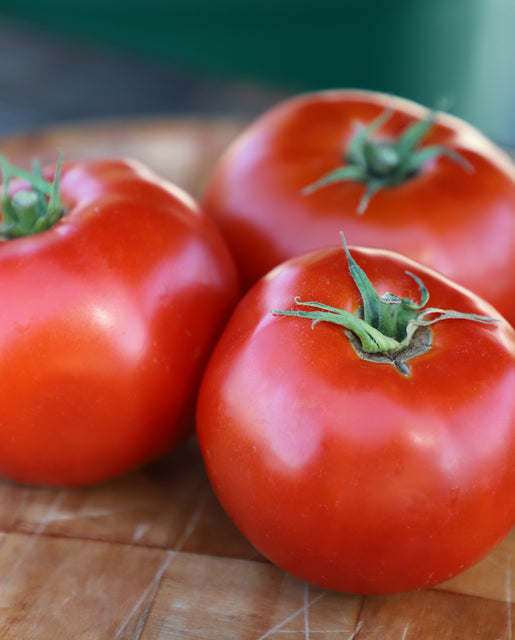 Organic Tomato Galahad - West Coast Seeds