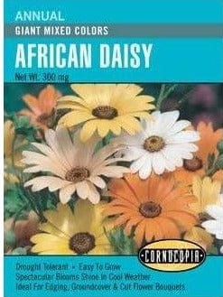 Old-Fashioned Heirloom Favorite Luminous, Daisy-Like, Sunrise-Colored Flowers Easy-Care Plants Thrive in Cool Weather and Dry Climates Blooms Close at Night and in Cloudy Weather