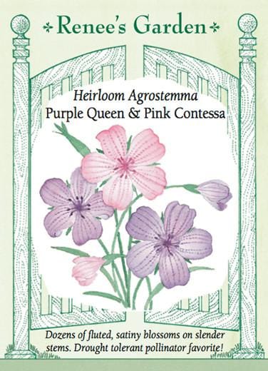 Agrostemma Purple Queen & Pink Contessa - Renee's Garden