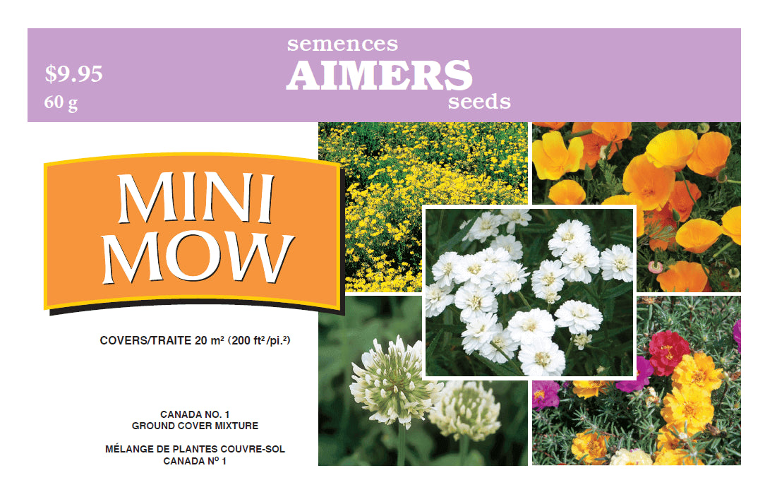 Mini Mow Seed Mix - Aimer's Organic Seeds