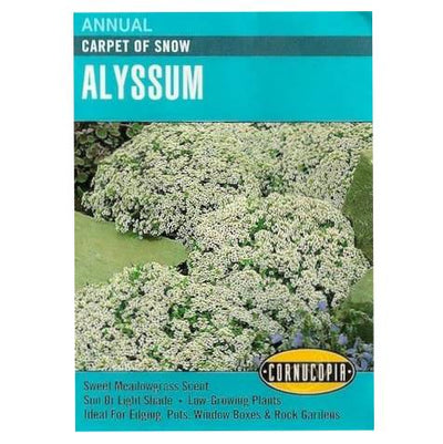 Alyssum Carpet of Snow - Cornucopia Seeds