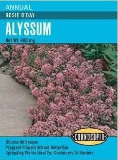 Alyssum Rosie O'Day - Cornucopia Seeds