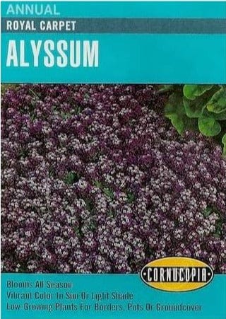 Alyssum Royal Carpet - Cornucopia Seeds