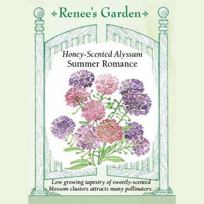 Alyssum Summer Romance - Renee's Garden Seeds