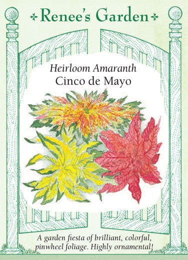 Amaranth Cinco de Mayo - Renee's Garden Seeds