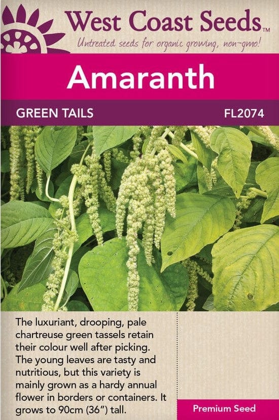 Amaranth Green Tails - West Coast Seeds