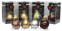 Amaryllis Bulbs, Waxed - White Flowering (packaged)