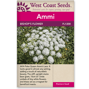 Ammi Bishop's Flower - West Coast Seeds