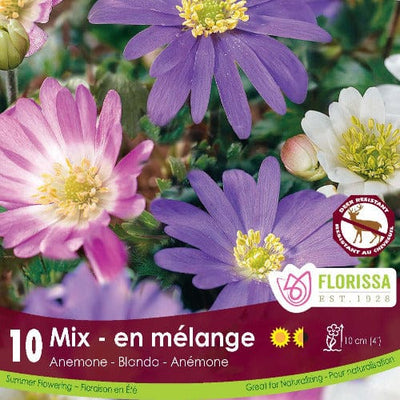 Anemone Blanda Mix -  Spring