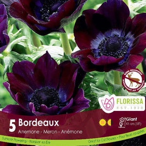 Anemone Bordeaux Tops - Spring