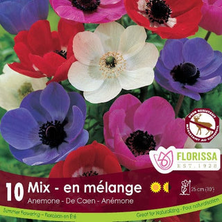 Anemone - De Caen Gem Mix (Spring) 10 Pack