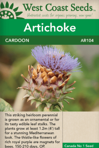 Artichokes Cardoon - West Coast Seeds