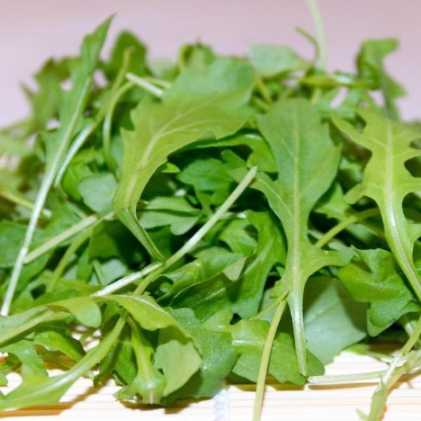 Arugula - Good Earth Farms Seeds