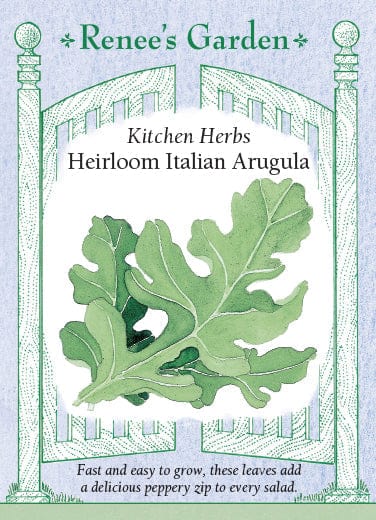 Arugula Italian Kitchen Herbs - Renee's Garden Seeds