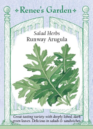 Arugula Runway - Renee's Garden Seeds