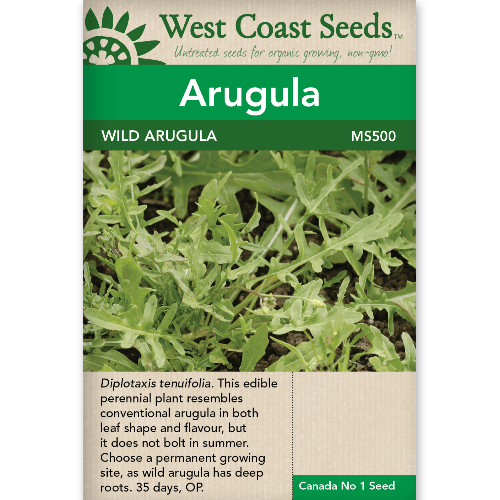 Arugula Wild - West Coast Seeds