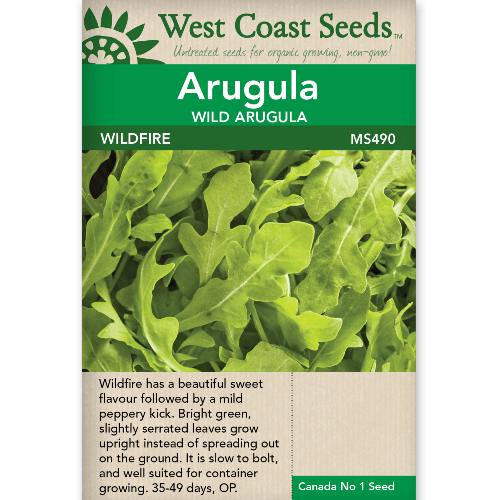 Arugula Wildfire - West Coast Seeds