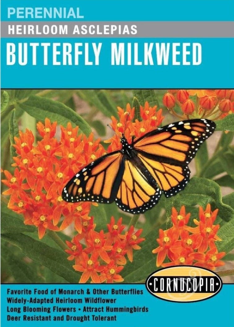 Asclepias Butterfly Milkweed - Cornucopia Seeds