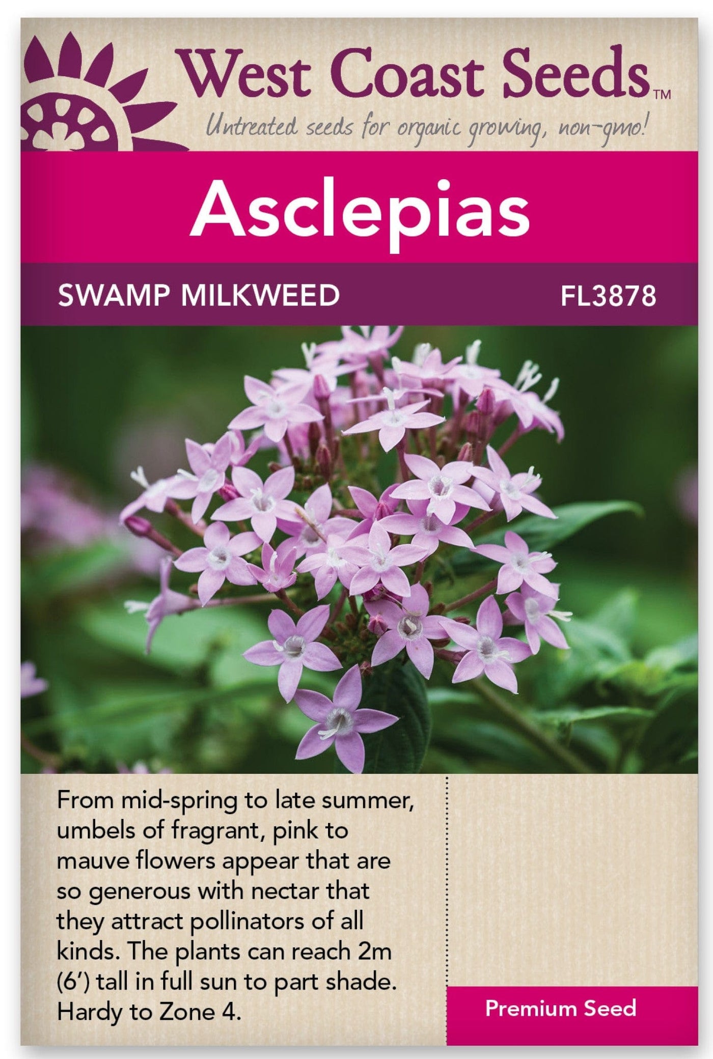 Asclepias Swamp Milkweed - West Coast Seeds