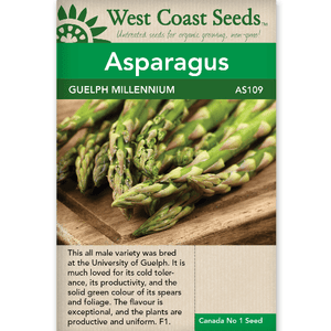 Asparagus Guelph Millennium - West Coast Seeds