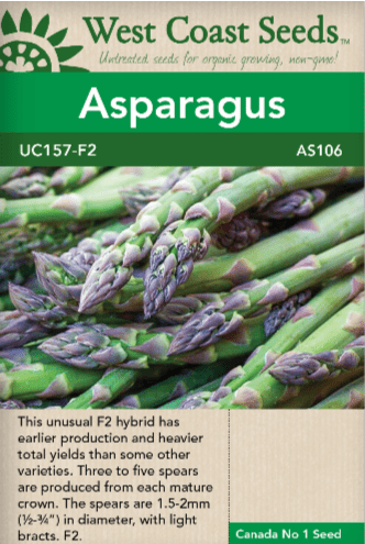 Asparagus UC157 F2 - West Coast Seeds