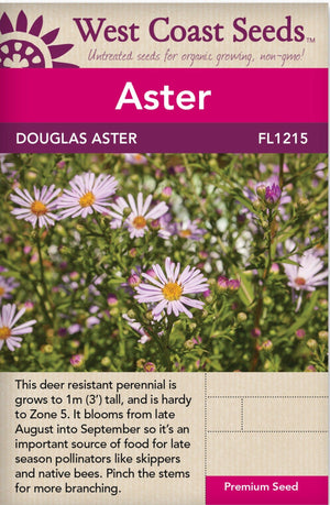 Aster Douglas - West Coast Seeds