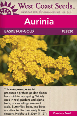 Aurinia Basket-Of-Gold - West Coast Seeds