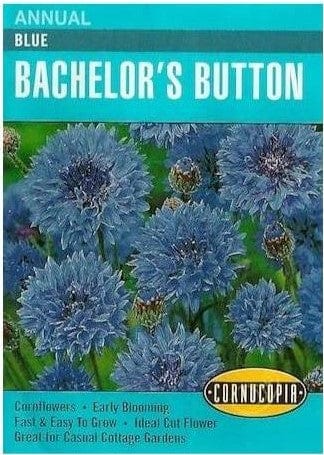 Bachelor's Button Blue - Cornucopia Seeds