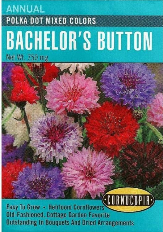 Bachelor's Button Polka Dot Mix 
