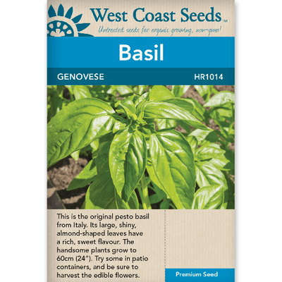 Basil Genovese - West Coast Seeds