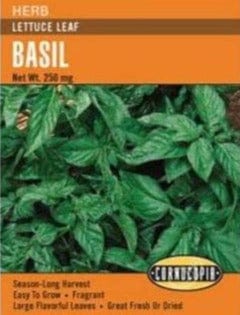 Basil Lettuce Leaf - Cornucopia Seeds