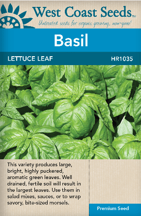 Basil Lettuce Leaf - West Coast Seeds