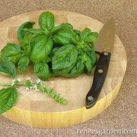 Basil Profumo di Genova - Renee's Garden Seeds