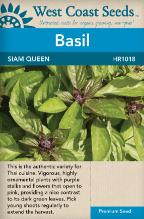 Basil Siam Queen - West Coast Seeds