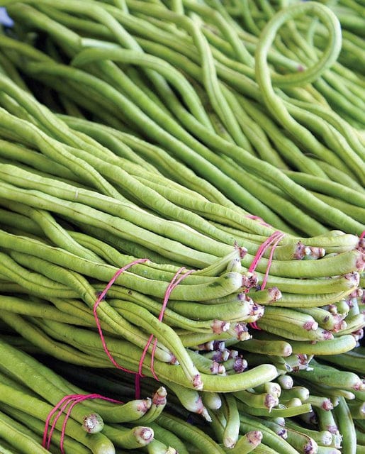 Bean Asparagus Pole - West Coast Seeds