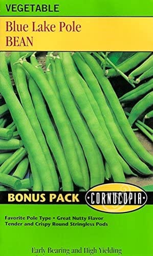 Bean Blue Lake Pole - Bonus Pack - Cornucopia Seeds