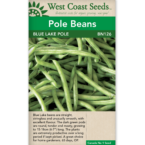 Pole Beans Blue Lake - West Coast Seeds