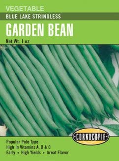 Bean Blue Lake Stringless - Cornucopia Seeds