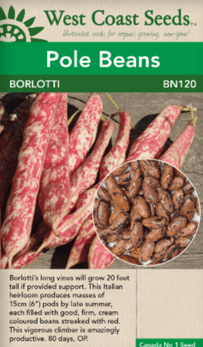 Bean Borlotti - West Coast Seeds
