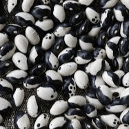 Bean Calypso - Saanich Organics Seeds