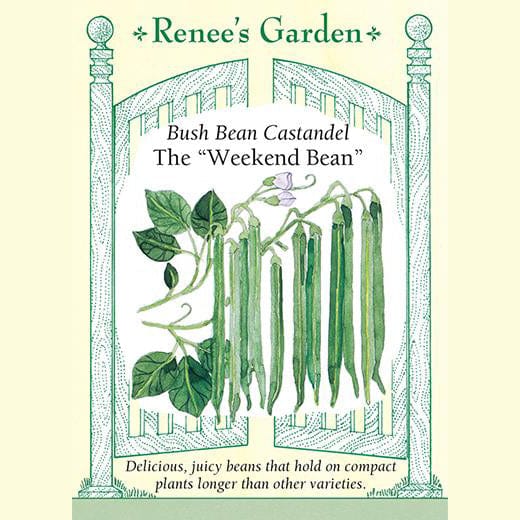 Bush Bean The "Weekend Bean" - Renee's Garden 