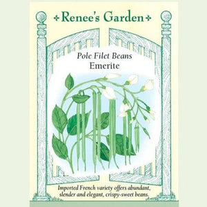Bean Emerite Filet - Renee's Garden Seeds
