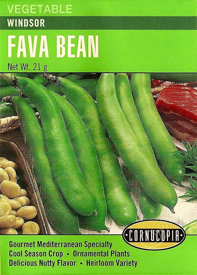 Bean Fava Windsor - Cornucopia Seeds