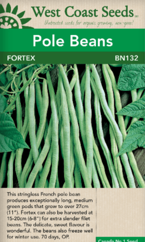 Bean Fortex -West Coast Seeds