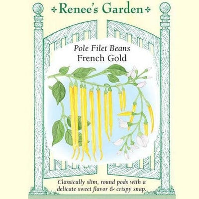 Pole Beans French Gold - Renee's Garden