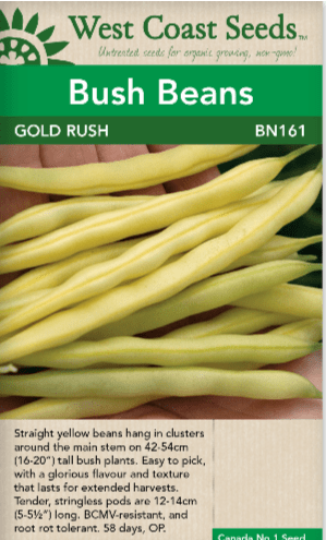 Bean Gold Rush - West Coast Seeds